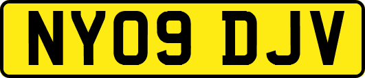 NY09DJV