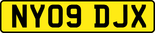 NY09DJX