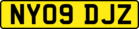 NY09DJZ