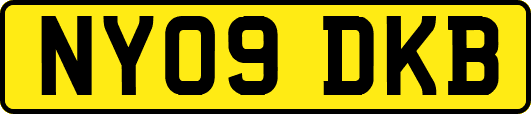 NY09DKB