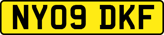 NY09DKF
