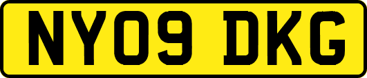 NY09DKG