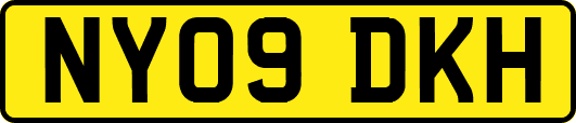 NY09DKH