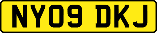 NY09DKJ