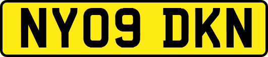 NY09DKN