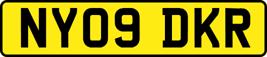 NY09DKR