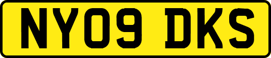 NY09DKS