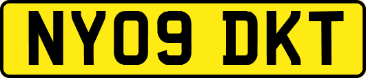 NY09DKT