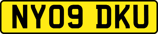 NY09DKU