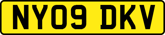NY09DKV