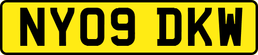 NY09DKW