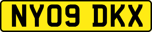 NY09DKX