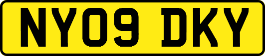 NY09DKY
