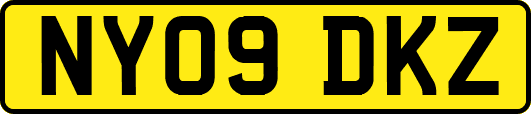 NY09DKZ