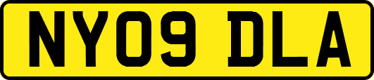 NY09DLA