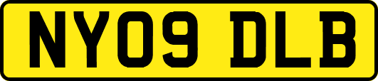 NY09DLB