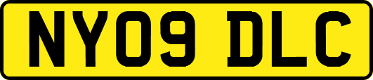 NY09DLC