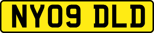 NY09DLD
