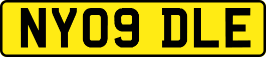 NY09DLE