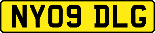 NY09DLG