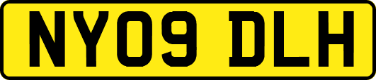 NY09DLH