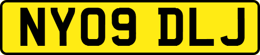 NY09DLJ
