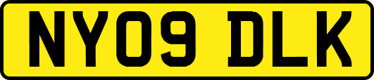 NY09DLK