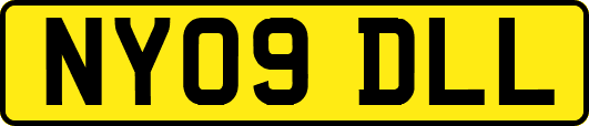 NY09DLL