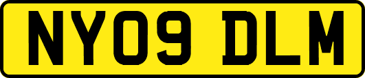 NY09DLM