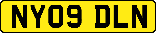 NY09DLN