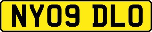 NY09DLO