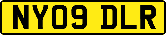 NY09DLR