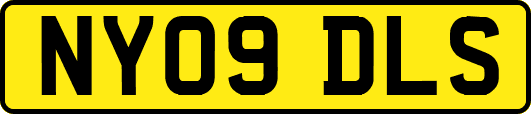 NY09DLS