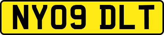 NY09DLT