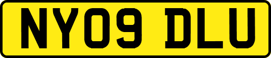 NY09DLU