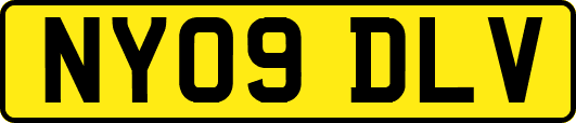 NY09DLV