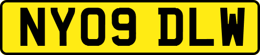 NY09DLW