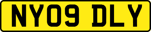NY09DLY