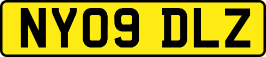 NY09DLZ