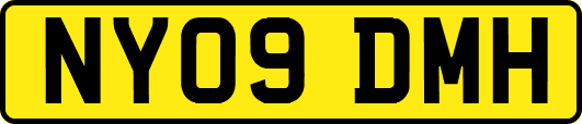 NY09DMH