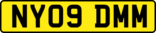 NY09DMM