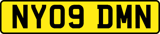 NY09DMN