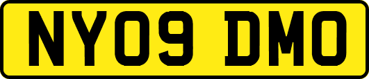 NY09DMO