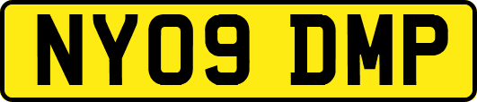 NY09DMP