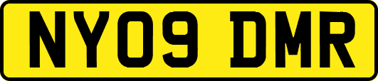 NY09DMR