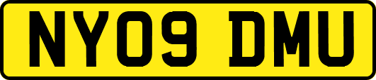 NY09DMU