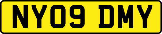 NY09DMY