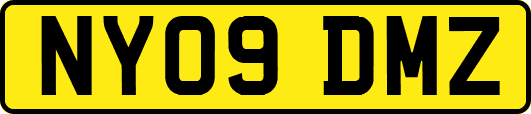NY09DMZ