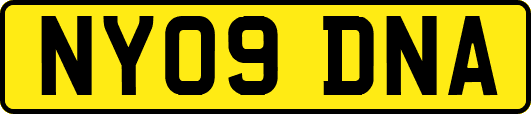 NY09DNA