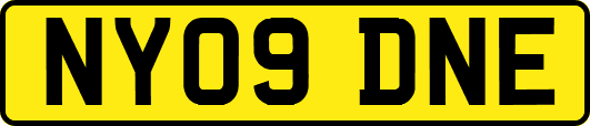 NY09DNE